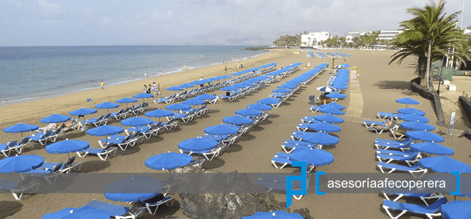Noticias Asesoría Tenerife Sur - Asesoría Afeco Perera Tenerife